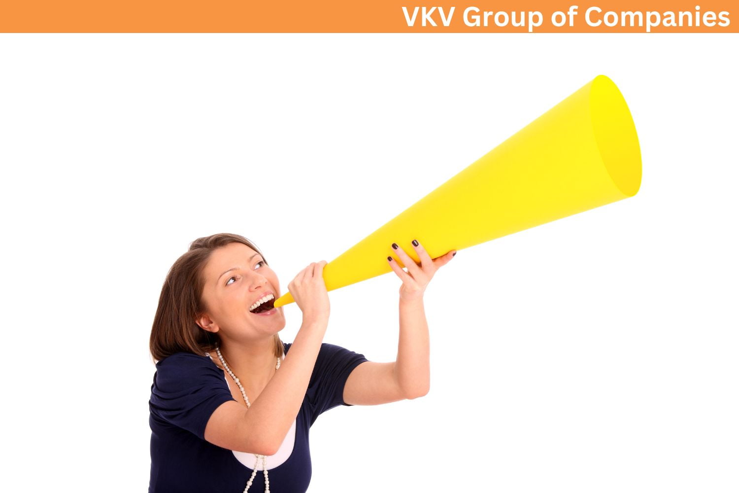 VKV Group of Companies