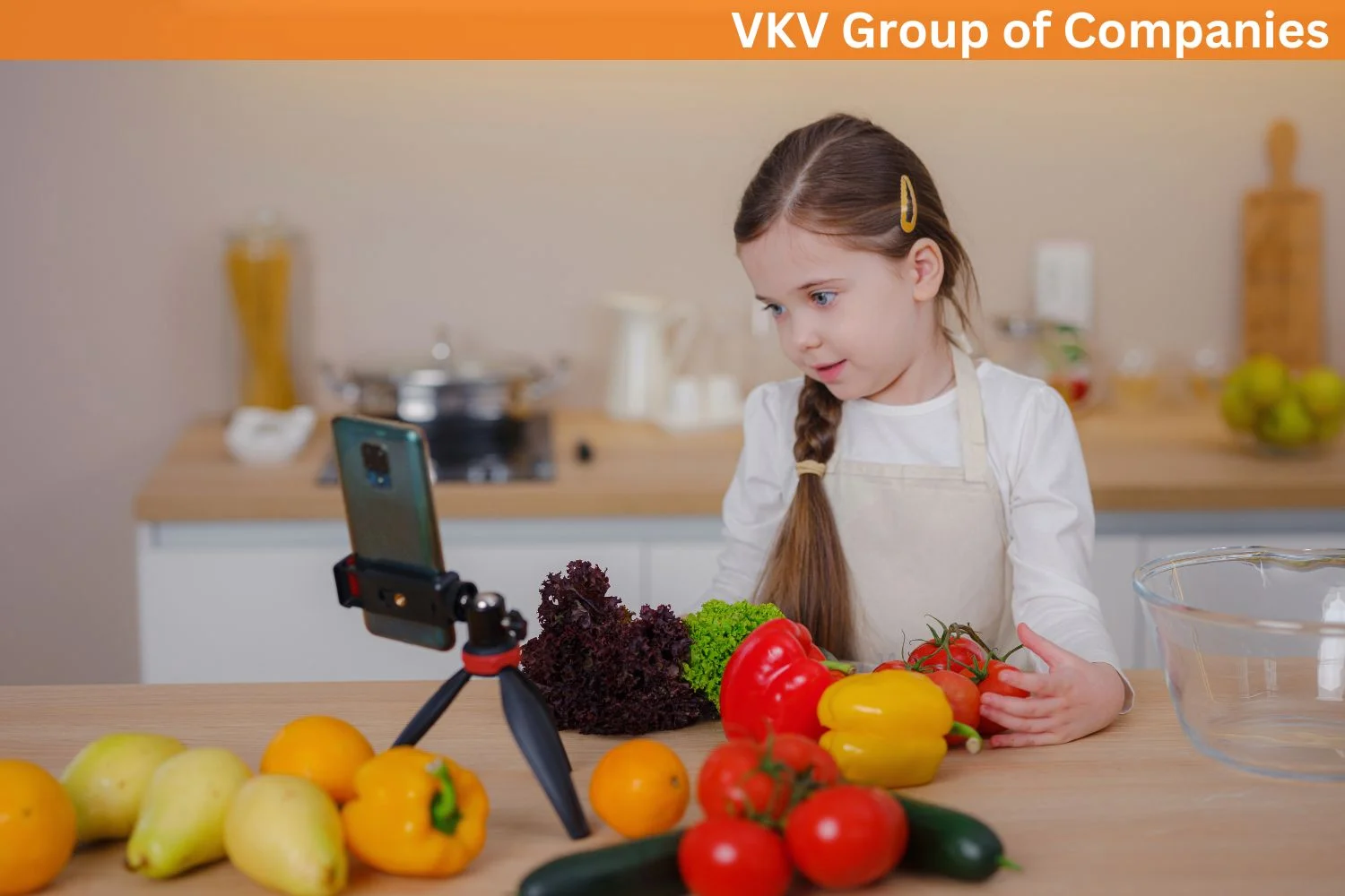 VKV Group of Companies