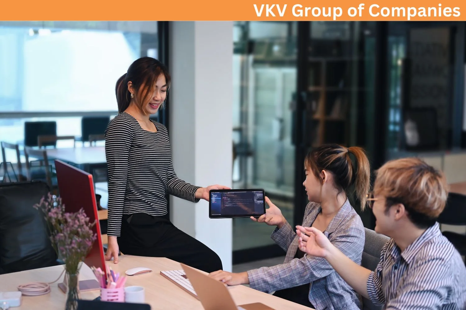 VKV Group of Companies